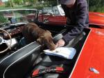rally 27042014 033