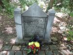WE VOERSTREEK MG 104