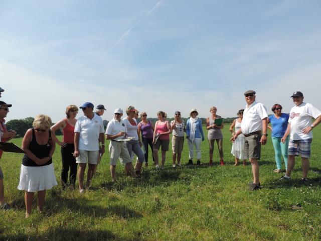 WE VOERSTREEK MG 208