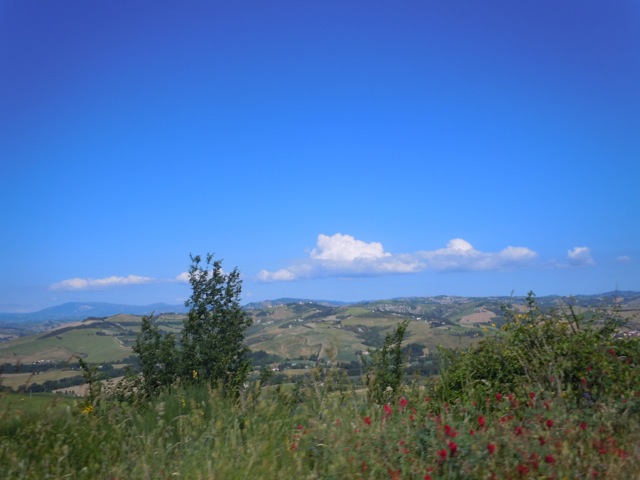 DSCN2756