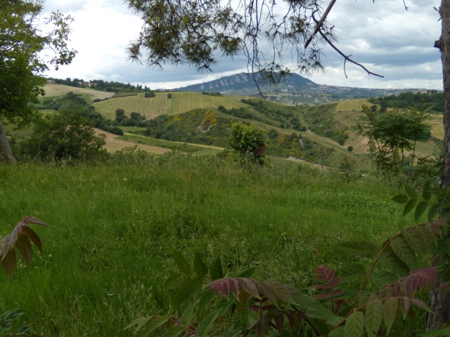 DSCN2295