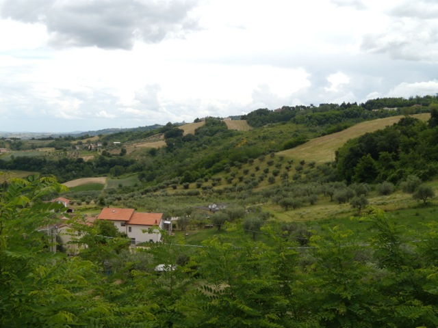 DSCN2299