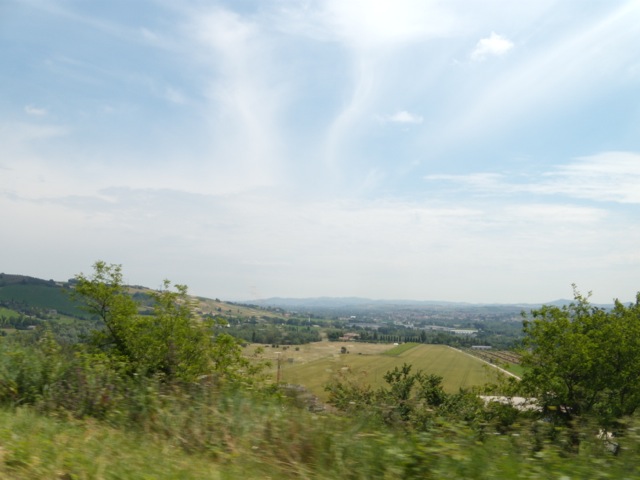 DSCN2335