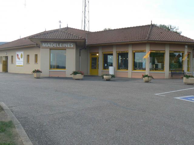 P1030311