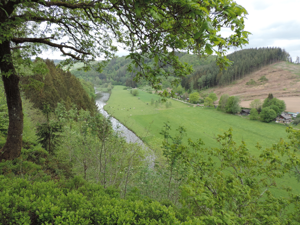 BOUILLON 071