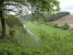 BOUILLON 071