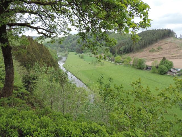 BOUILLON 071