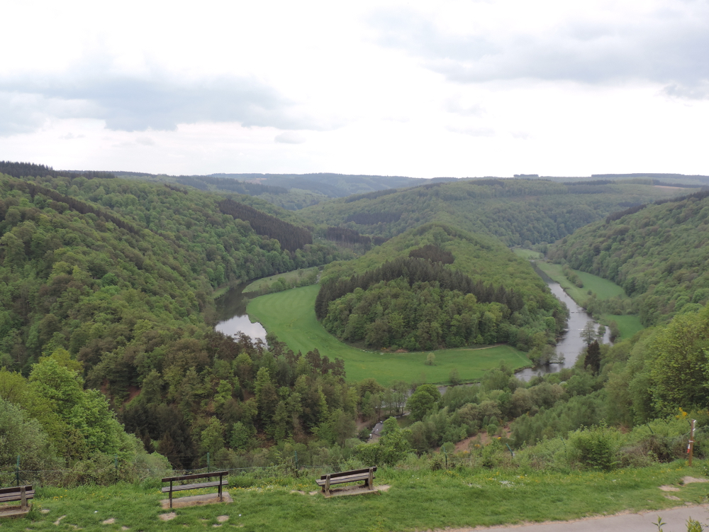 BOUILLON 101