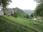 BOUILLON 134