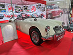 Antwerp Collection Cars 2025